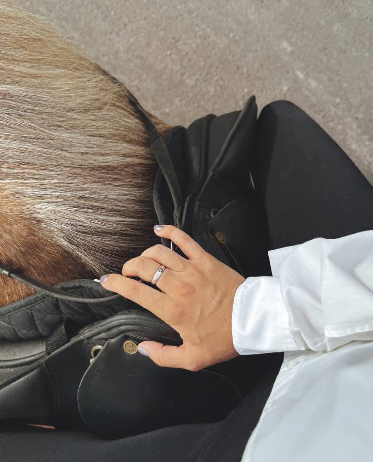 Whispers on Horseback - image 4