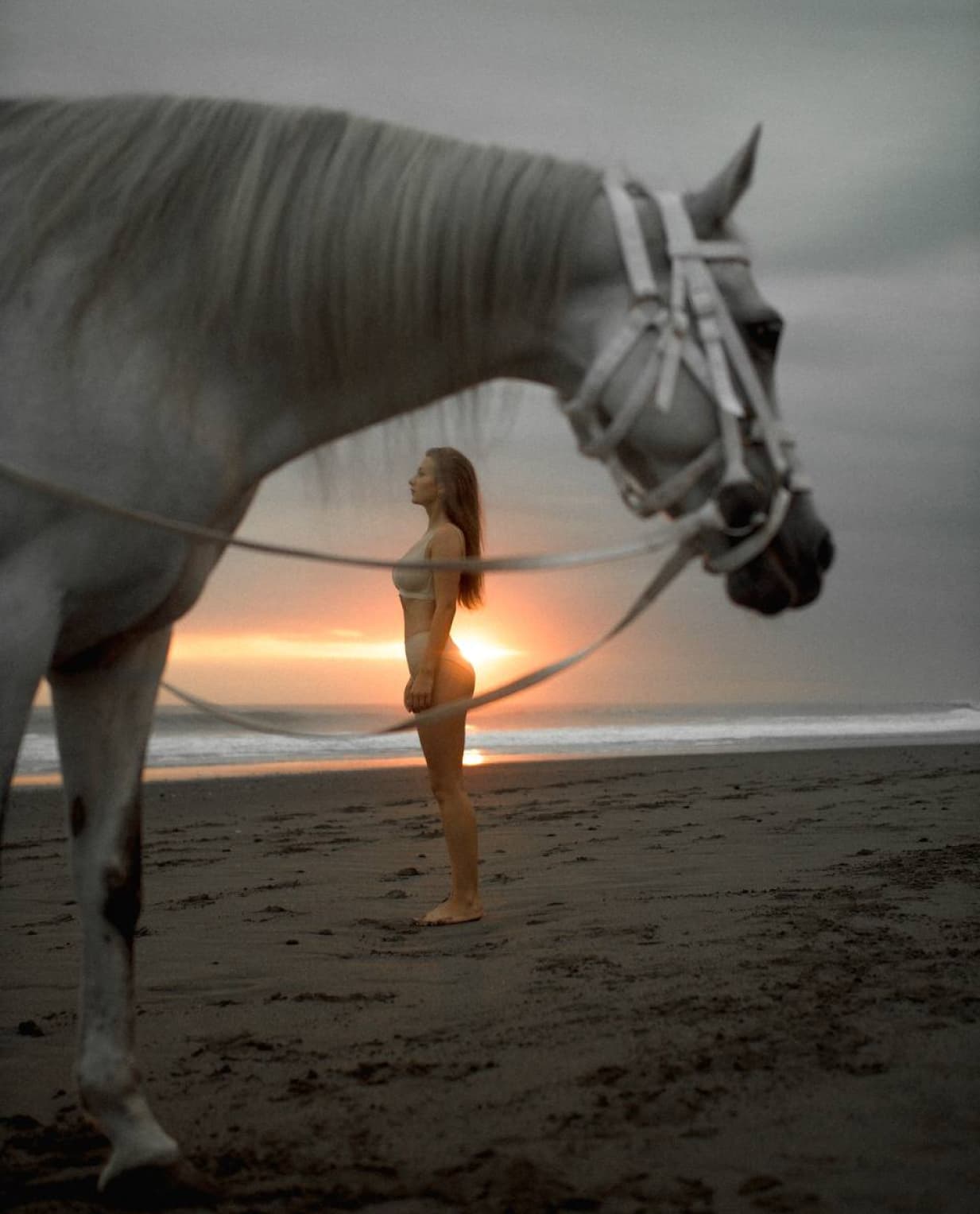 Whispers on Horseback - image 1