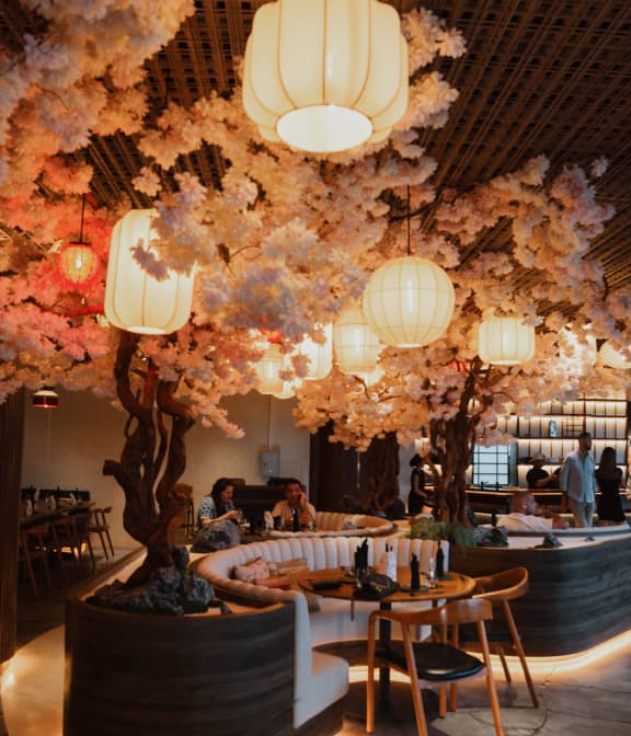 “Body Sense” preview