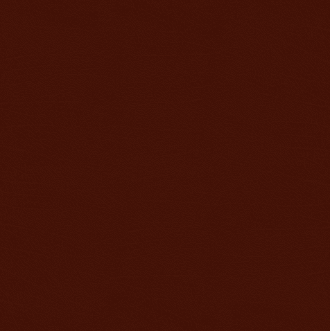 “jet set: Fasten
Your Intentions” background