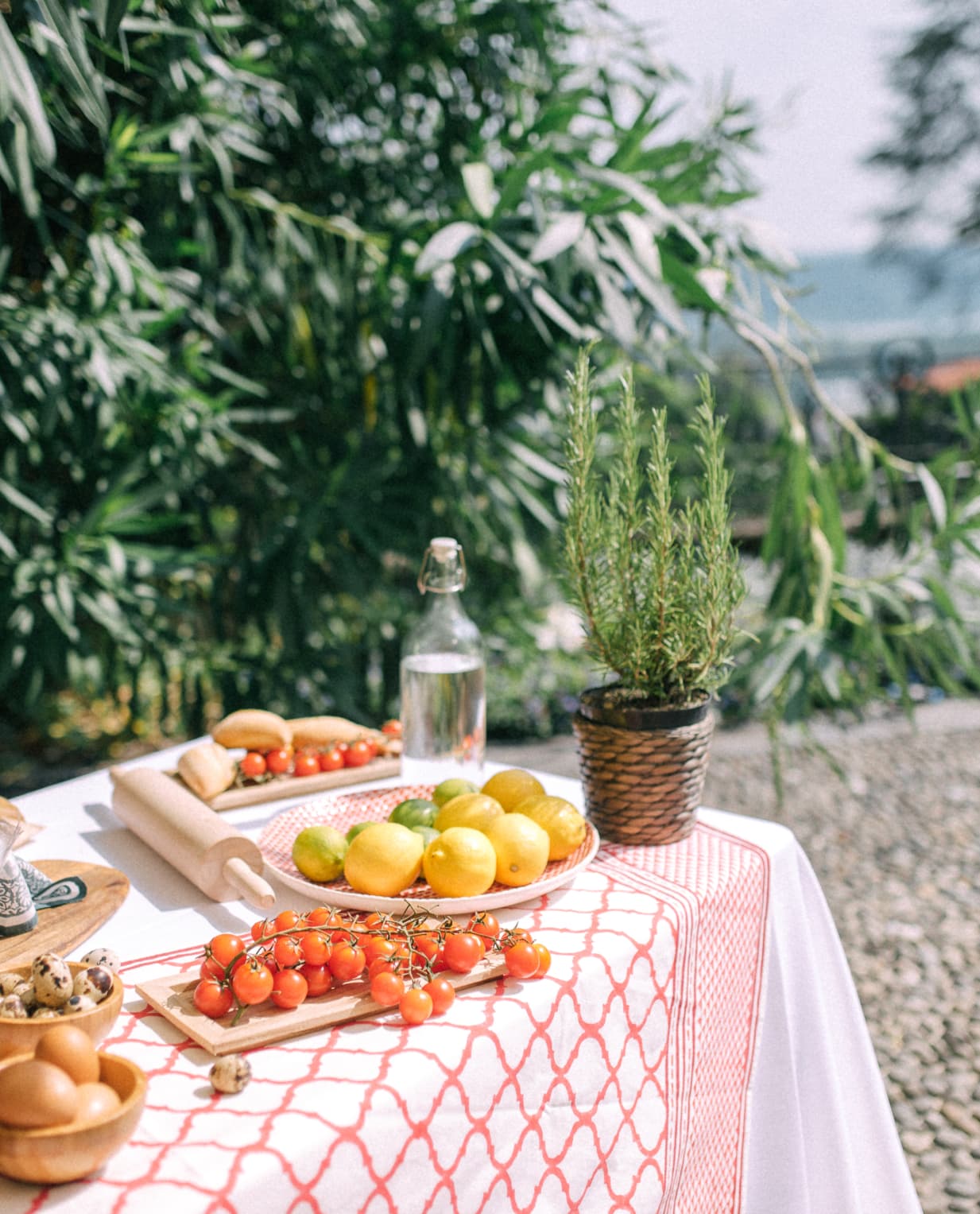 Verdant Moments: Botanical Garden Picnic - image 1